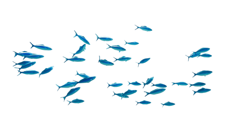 Untitled design (43)