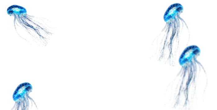Untitled design (49)