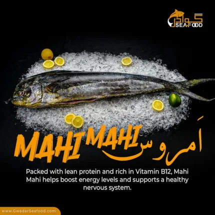 Mahi Mahi (Amloshk)