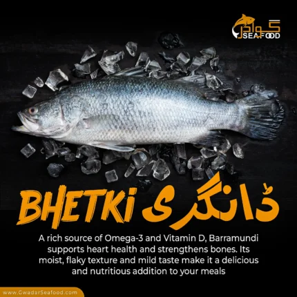 Bhetki (Daangri)