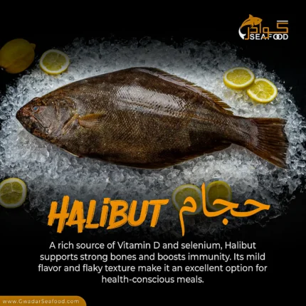 Halibut (Hajjam)