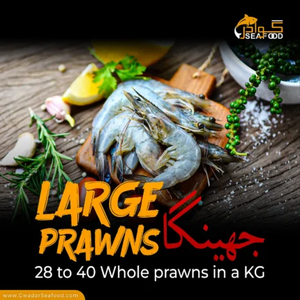 Large Prawns